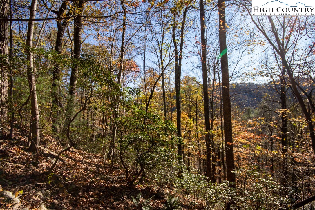 Lot# 547 Autumn Ridge Drive Property Photo 37