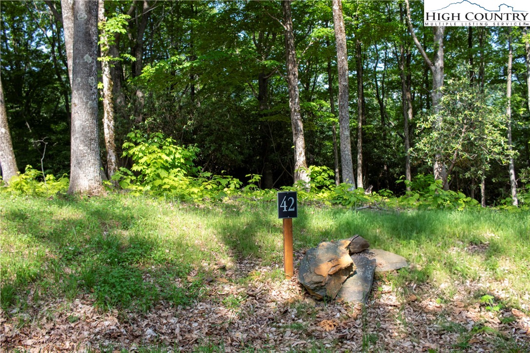 Lot 42 Poplar Forest Drive Property Photo 1