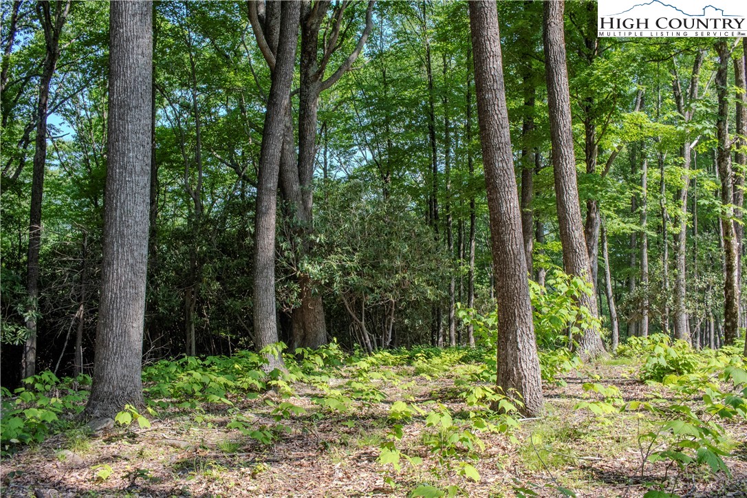 Lot 42 Poplar Forest Drive Property Photo 3
