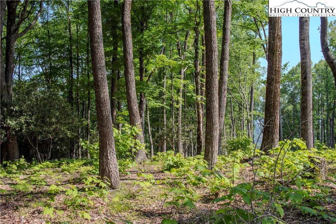Lot 42 Poplar Forest Drive Property Photo 6