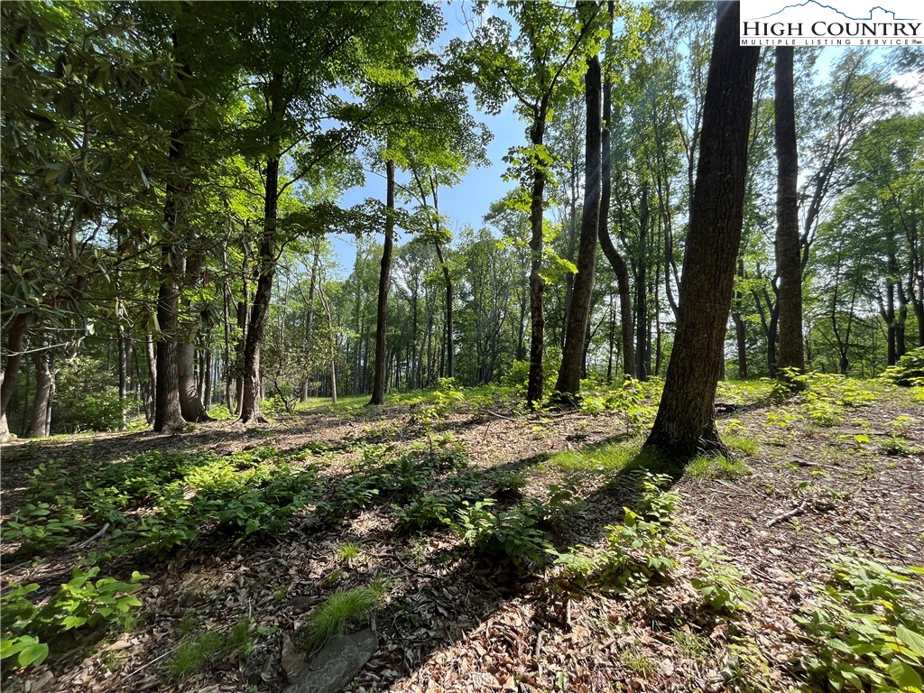 Lot 42 Poplar Forest Drive Property Photo 7
