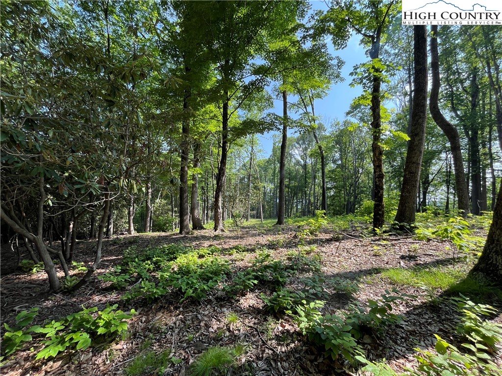 Lot 42 Poplar Forest Drive Property Photo 8