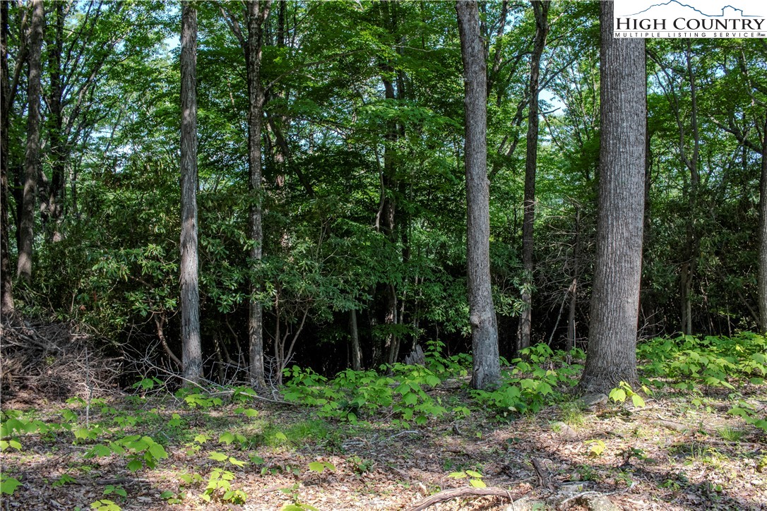 Lot 42 Poplar Forest Drive Property Photo 9