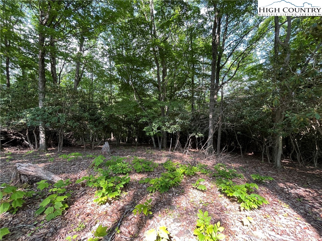 Lot 42 Poplar Forest Drive Property Photo 10