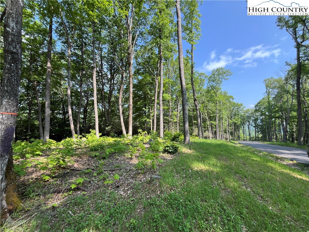 Lot 42 Poplar Forest Drive Property Photo 11