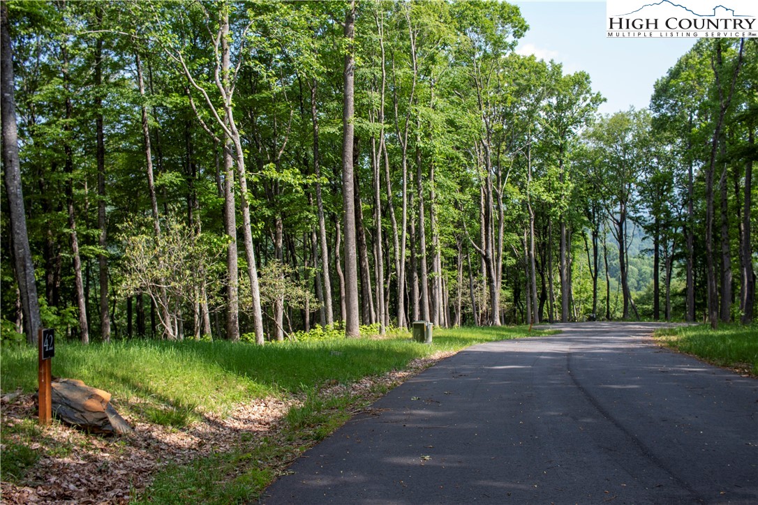 Lot 42 Poplar Forest Drive Property Photo 12