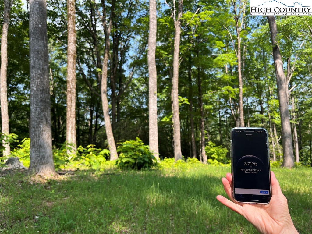 Lot 42 Poplar Forest Drive Property Photo 13
