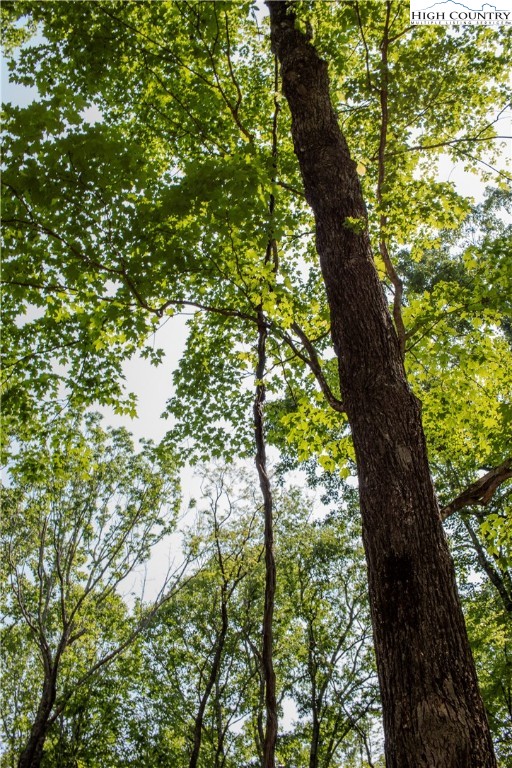 Lot 42 Poplar Forest Drive Property Photo 14