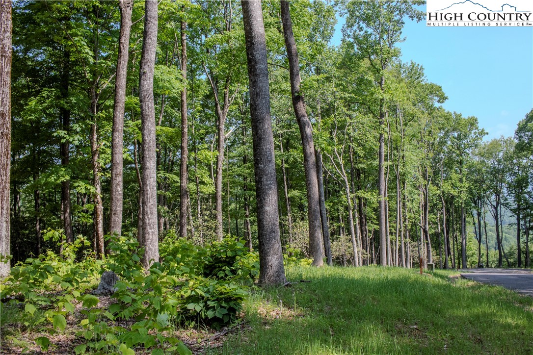 Lot 42 Poplar Forest Drive Property Photo 15