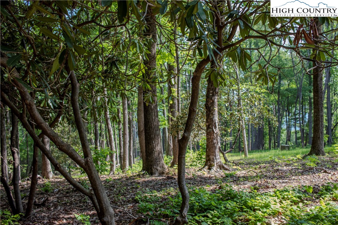 Lot 42 Poplar Forest Drive Property Photo 16