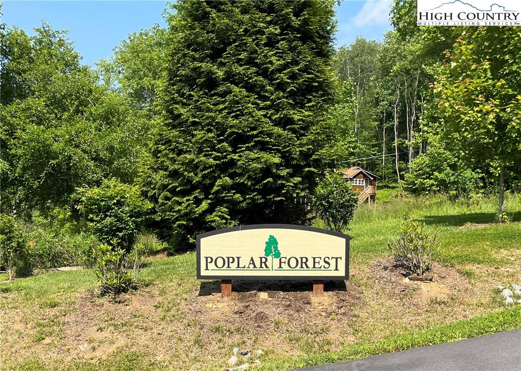 Lot 42 Poplar Forest Drive Property Photo 17