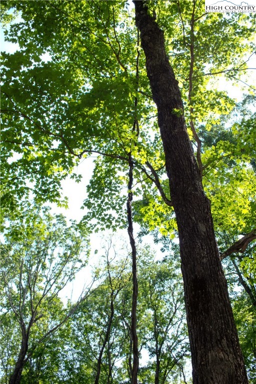Lot 42 Poplar Forest Drive Property Photo 18