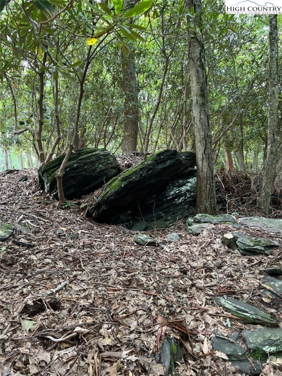 Lot 42 Poplar Forest Drive Property Photo 19