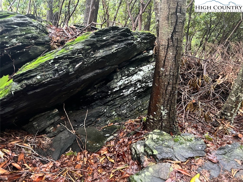Lot 42 Poplar Forest Drive Property Photo 20