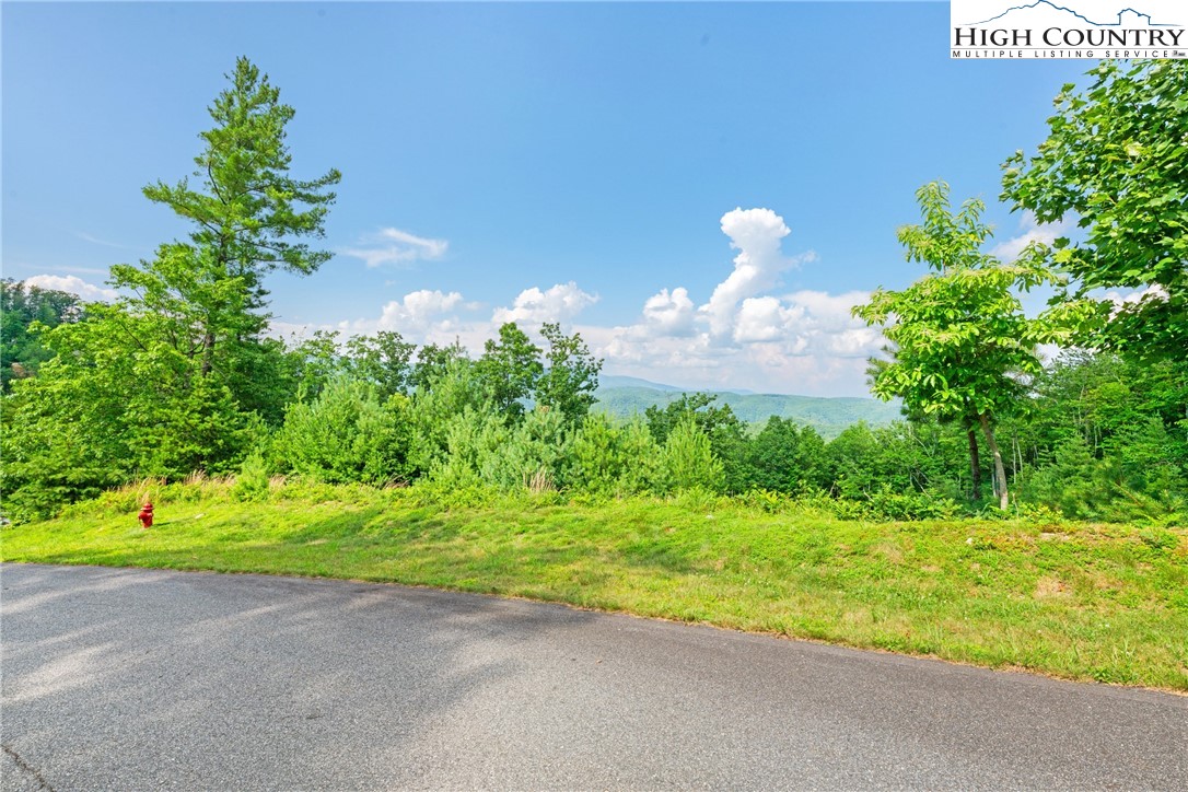 Lot 330 Pepperroot Road Property Photo 2