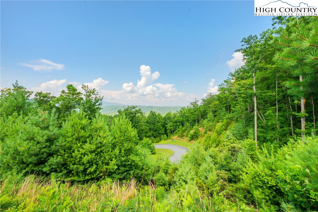 Lot 330 Pepperroot Road Property Photo 4