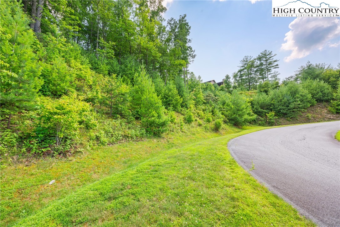 Lot 330 Pepperroot Road Property Photo 5