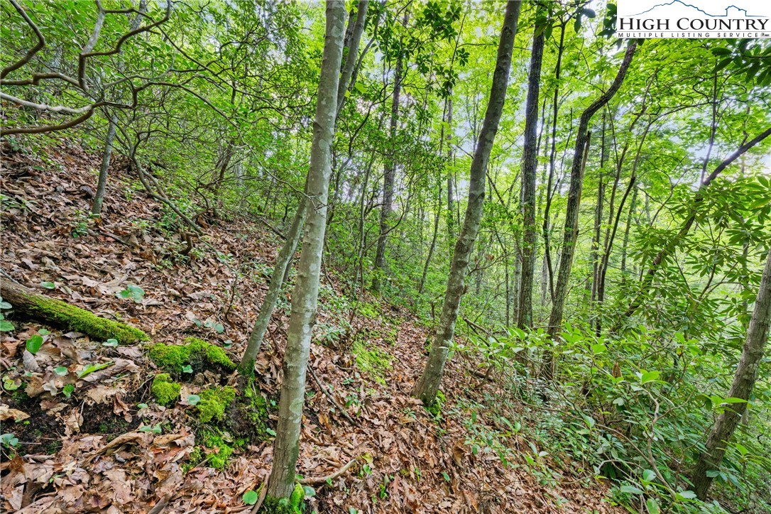 Lot 330 Pepperroot Road Property Photo 11