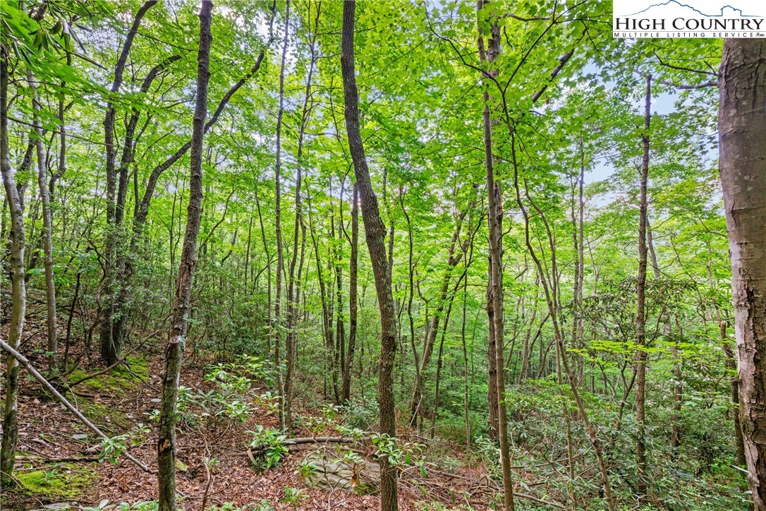 Lot 330 Pepperroot Road Property Photo 12