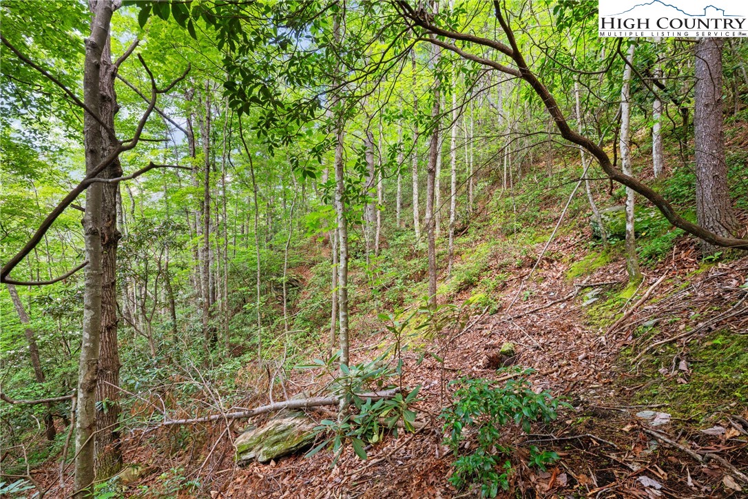 Lot 330 Pepperroot Road Property Photo 13