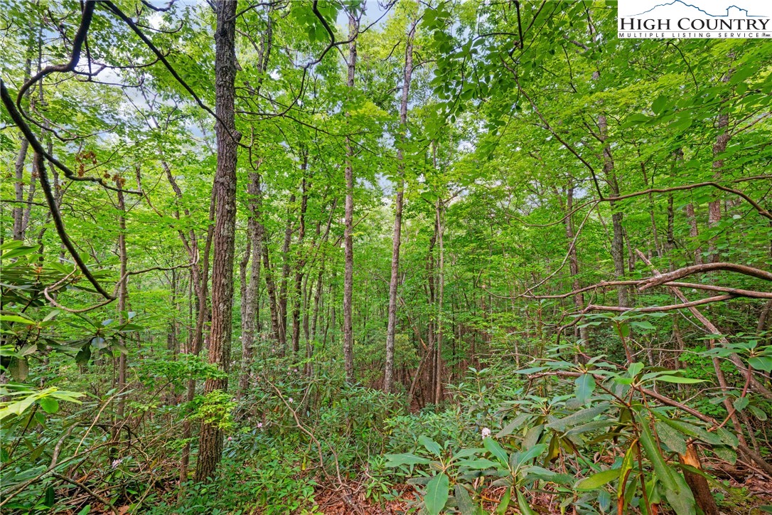 Lot 330 Pepperroot Road Property Photo 14