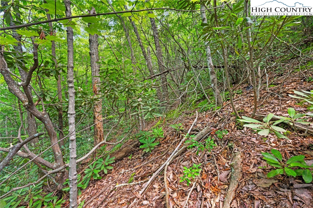 Lot 330 Pepperroot Road Property Photo 15