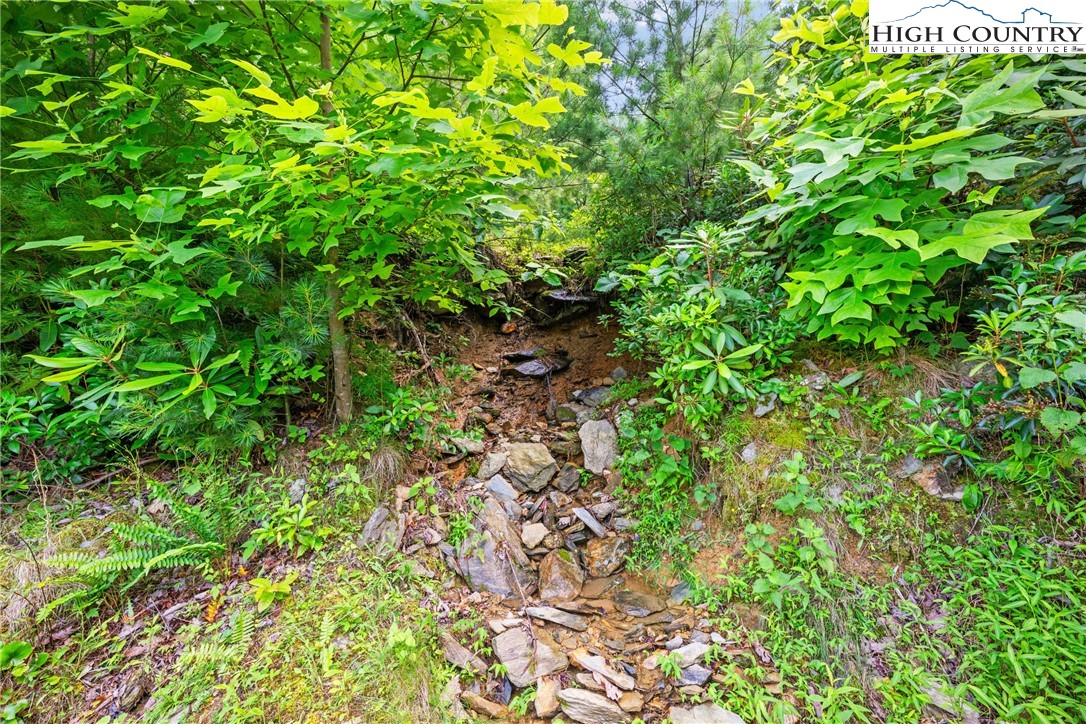 Lot 330 Pepperroot Road Property Photo 16