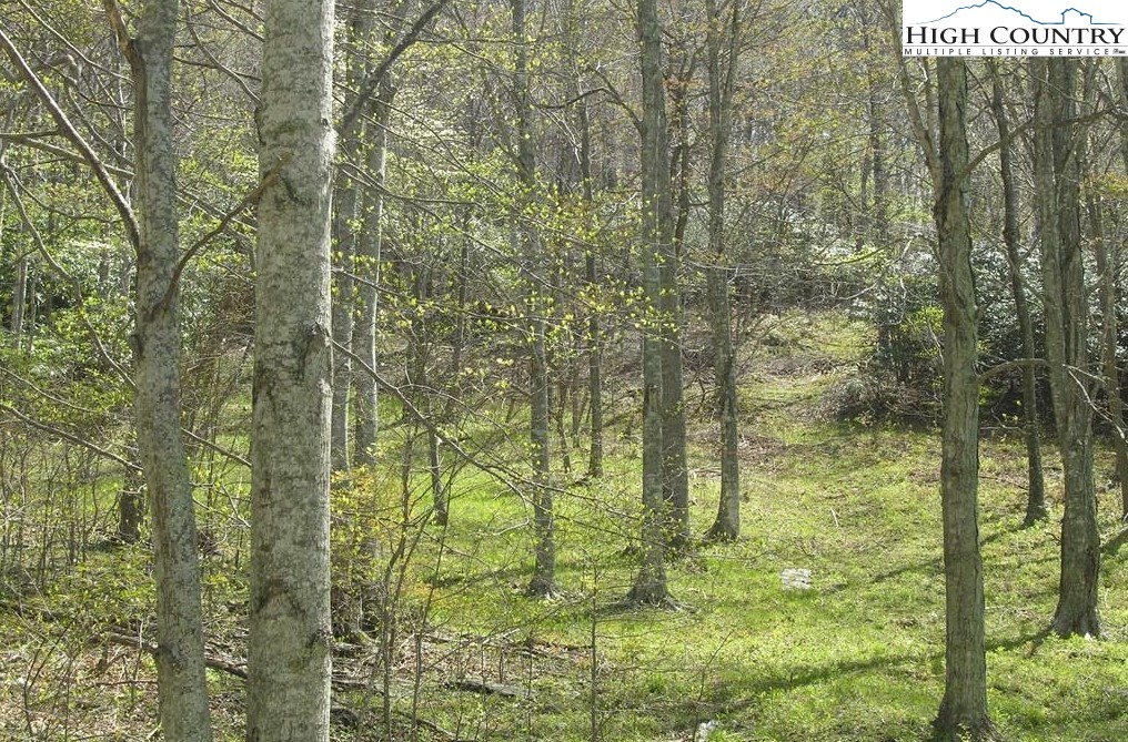 Tbd Bob's Mountain Road Property Photo 1