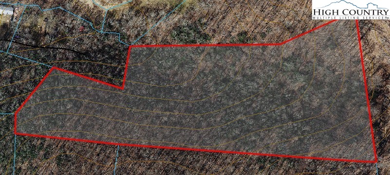 Tbd Bob's Mountain Road Property Photo 2