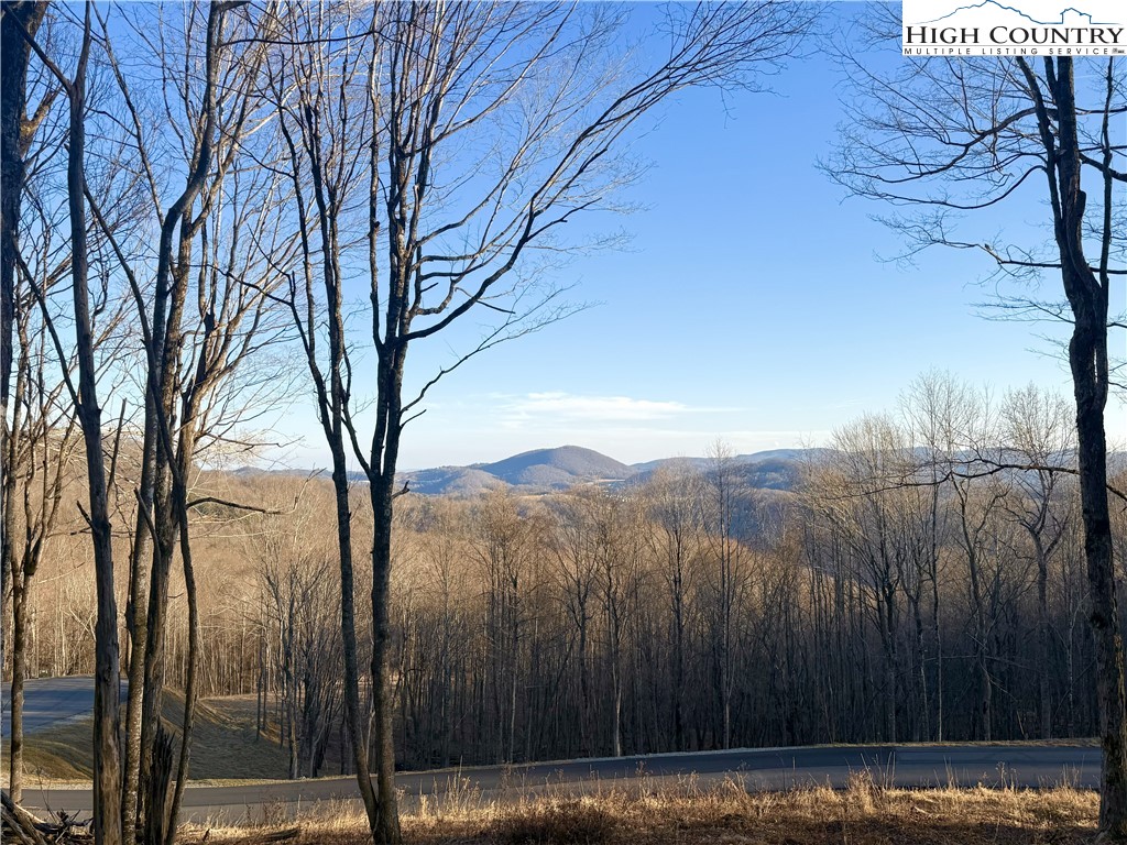 Lot 24 Poplar Forest Drive Property Photo 1