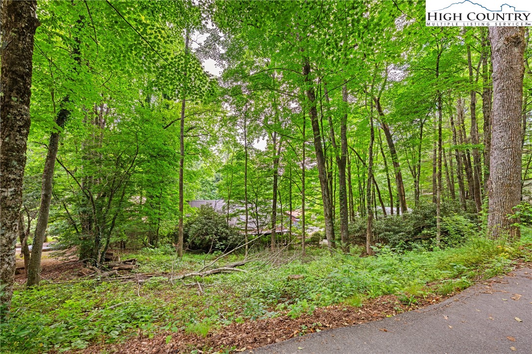 140 Pine View Road Property Photo 3
