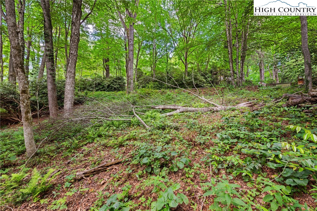 140 Pine View Road Property Photo 5