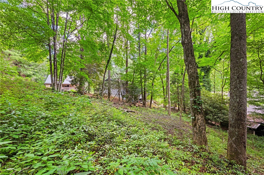 140 Pine View Road Property Photo 6
