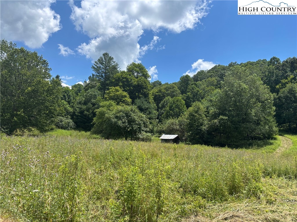 460 Grubbs Chapel Road Property Photo 1