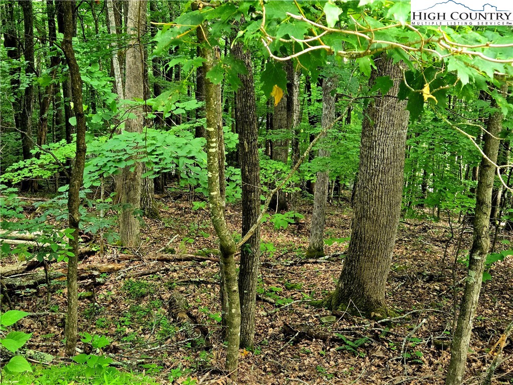 TBD Red Fox Ridge Property Photo 1
