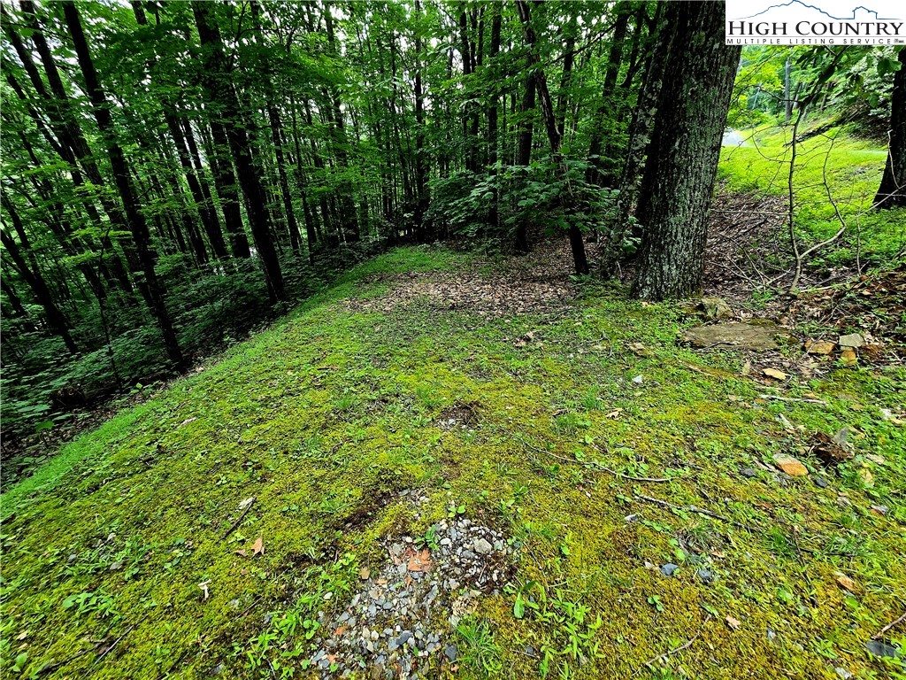 Tbd Red Fox Ridge Property Photo 2