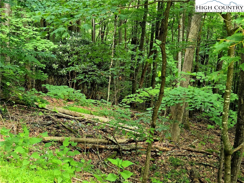 Tbd Red Fox Ridge Property Photo 3