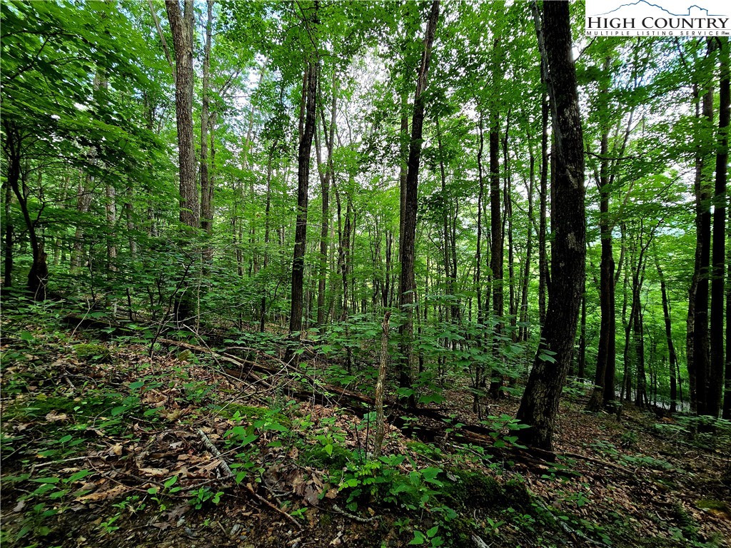 Tbd Red Fox Ridge Property Photo 4