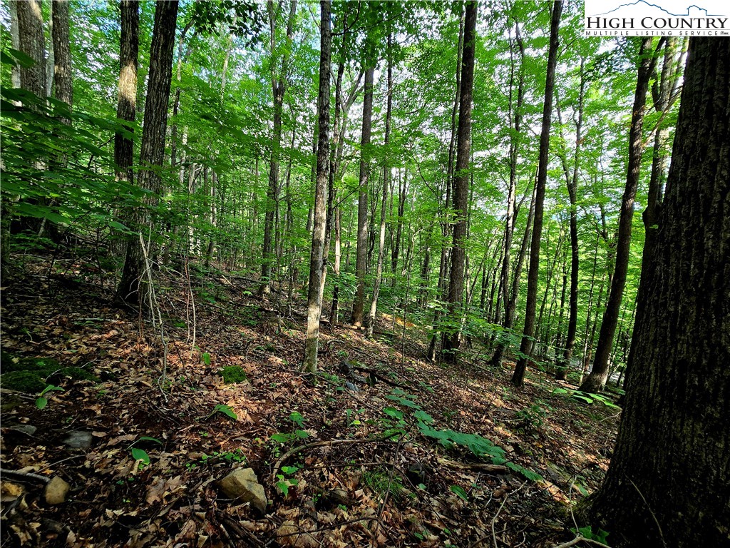 Tbd Red Fox Ridge Property Photo 5