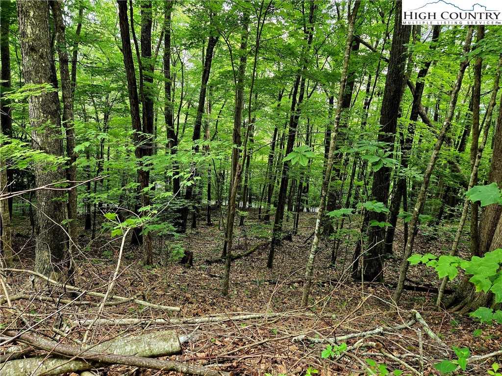 Tbd Red Fox Ridge Property Photo 6