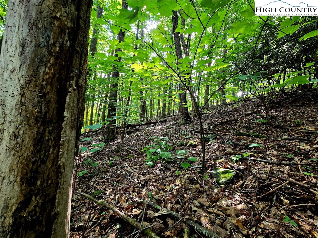 Tbd Red Fox Ridge Property Photo 7