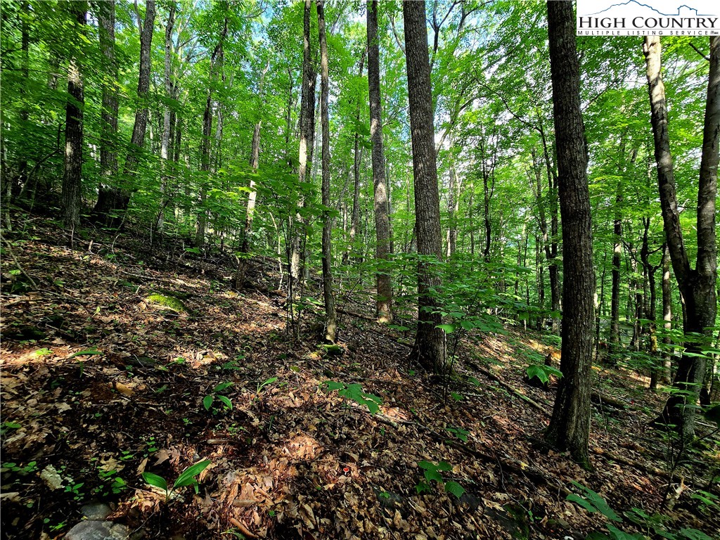 Tbd Red Fox Ridge Property Photo 8