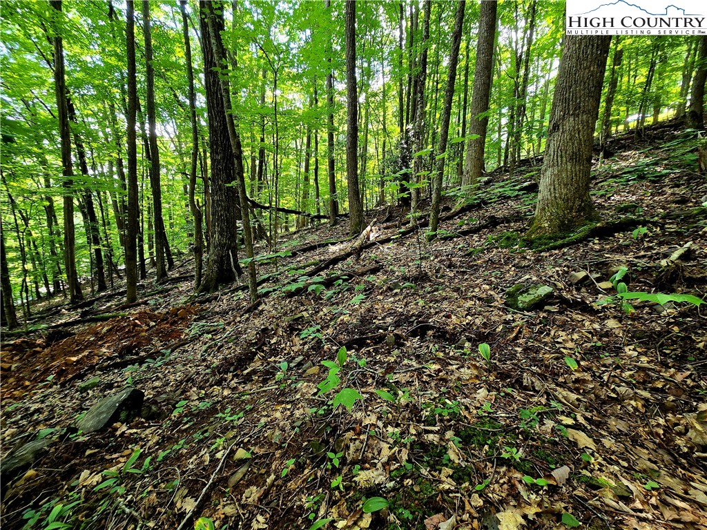 Tbd Red Fox Ridge Property Photo 9