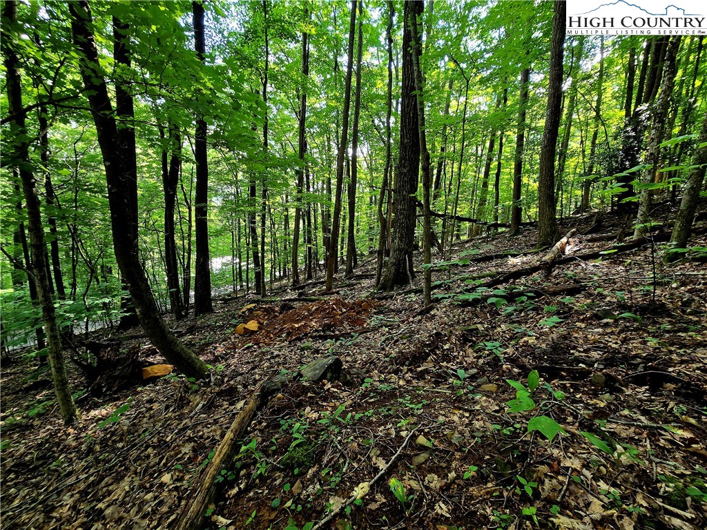 Tbd Red Fox Ridge Property Photo 10