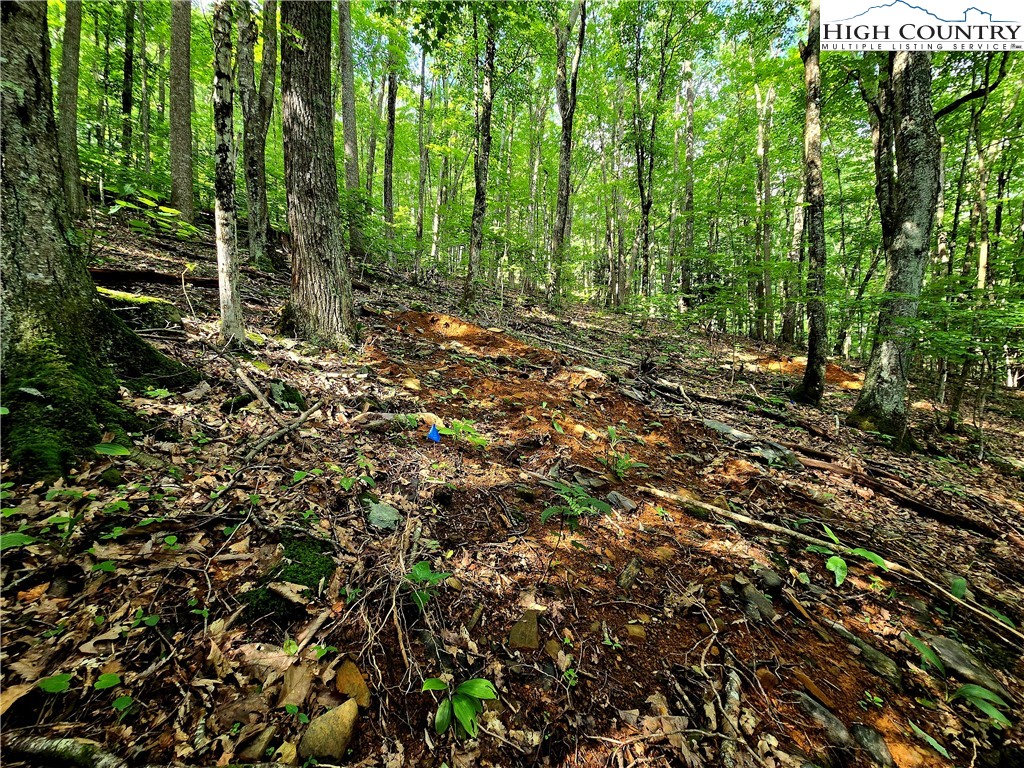Tbd Red Fox Ridge Property Photo 11