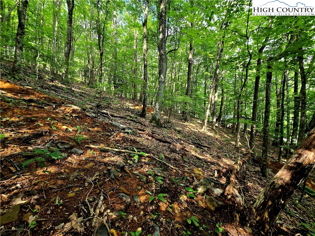Tbd Red Fox Ridge Property Photo 12