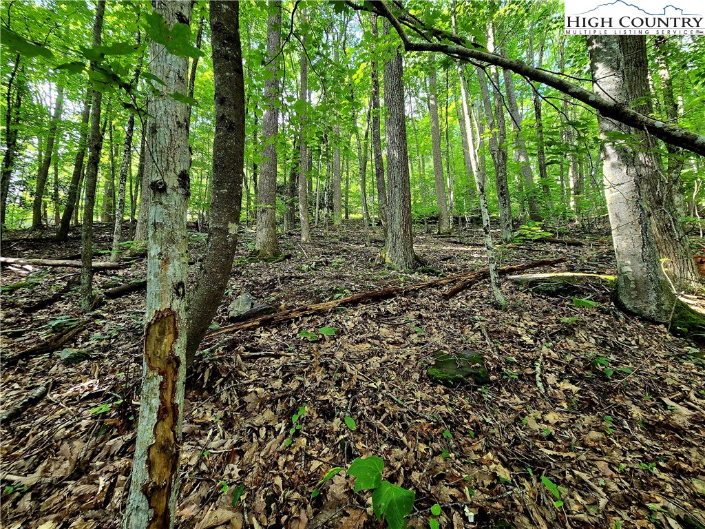 Tbd Red Fox Ridge Property Photo 13