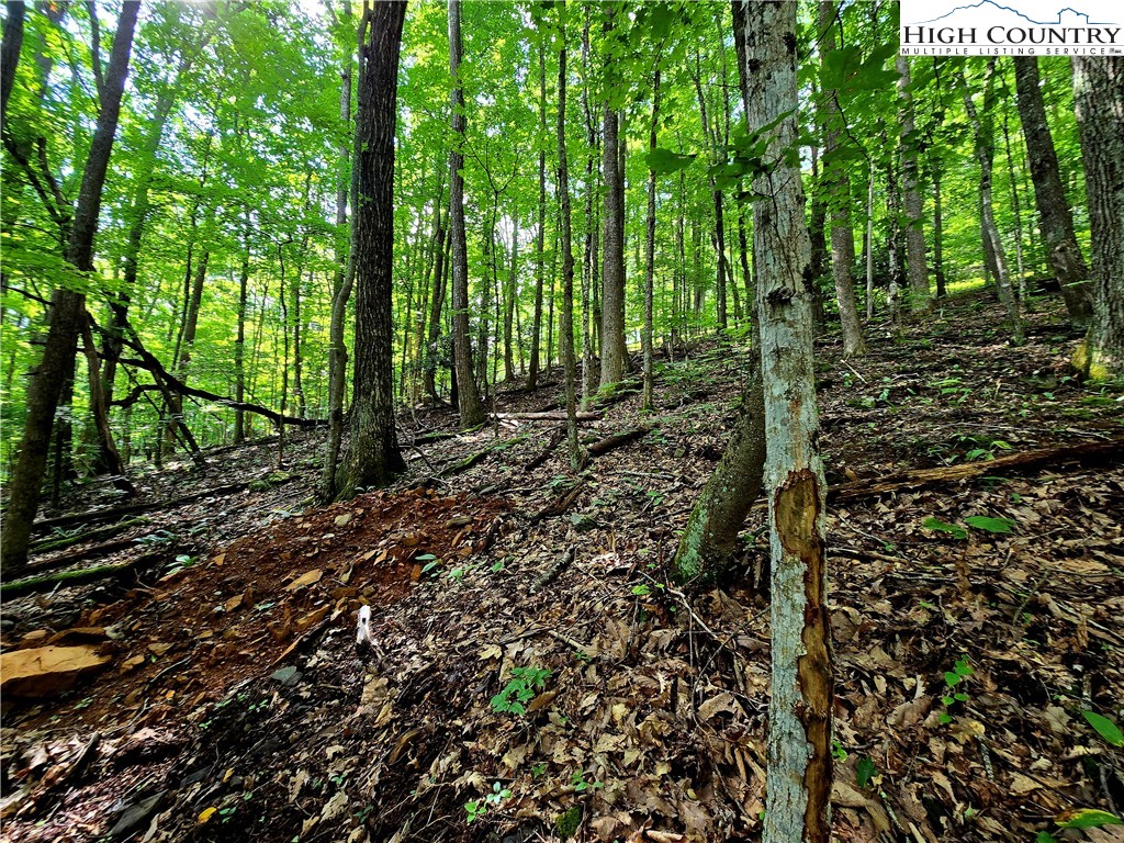 Tbd Red Fox Ridge Property Photo 14
