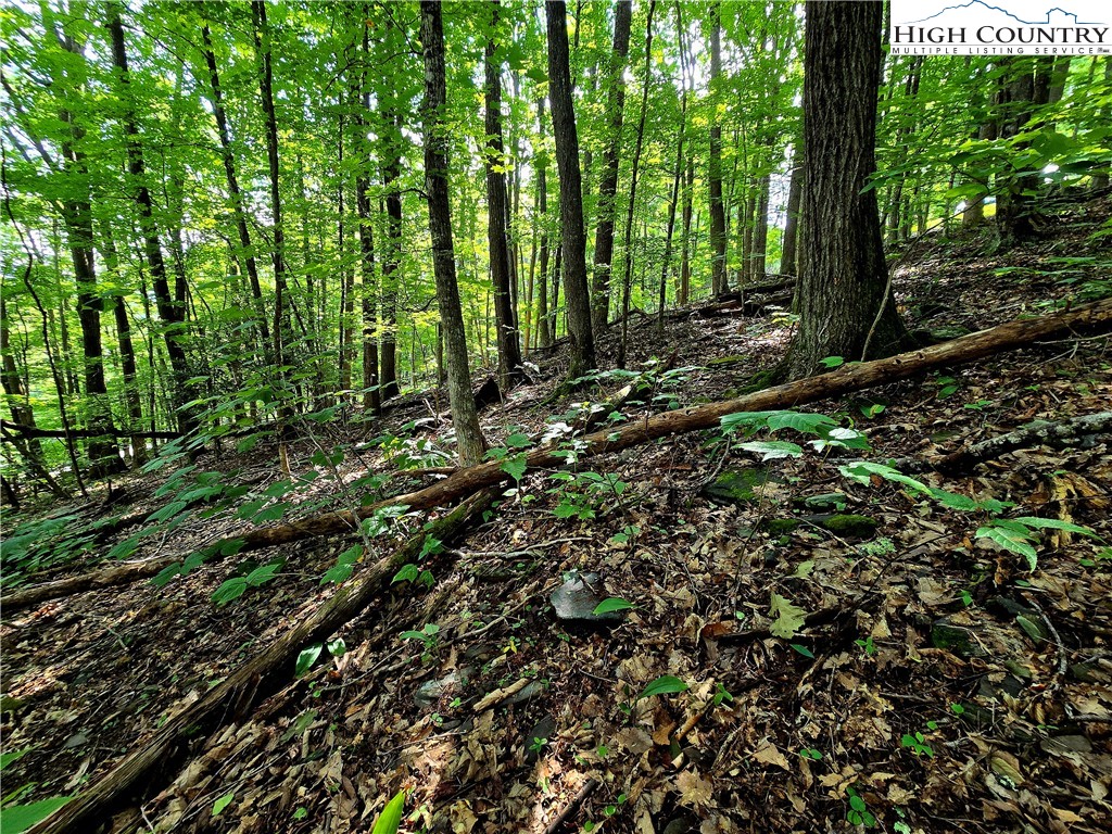 Tbd Red Fox Ridge Property Photo 15