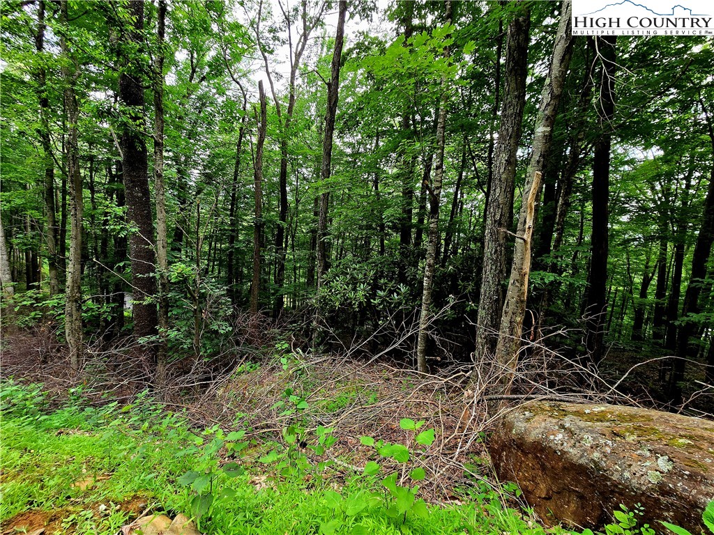 Tbd Red Fox Ridge Property Photo 16
